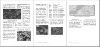 Leseprobe Funken im Moselschiefer